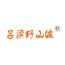 上海国际包装展览会采购商吕梁野山坡